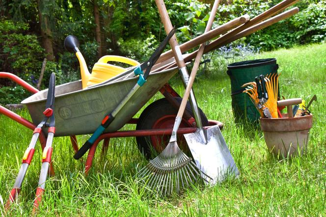 Jak przygotować narzędzia i sprzęt ogrodniczy do sezonu? Zrób  to zanim zaczniesz prace w ogrodzie!