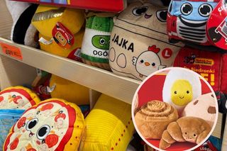 Nie tylko nowy gang wywołał poruszenie. „Jesieniarskie cudo” w Biedronce za 25 zł, w sieci chcą za nie nawet 500 zł