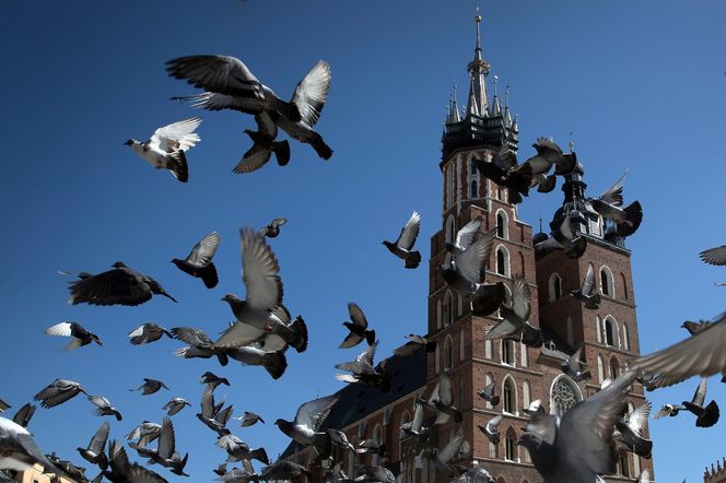 Najpiękniejsze starówki świata. Kraków wygrywa