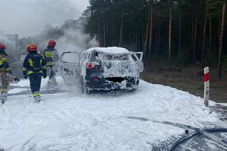 Pożar na obwodnicy w Toruniu. Płonęło auto