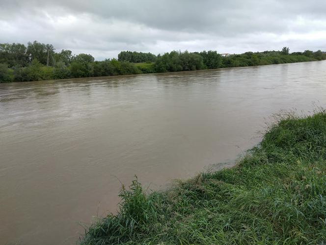 Wysoki Dunajec pod Tarnowem! Biała przy Azotach też przybiera