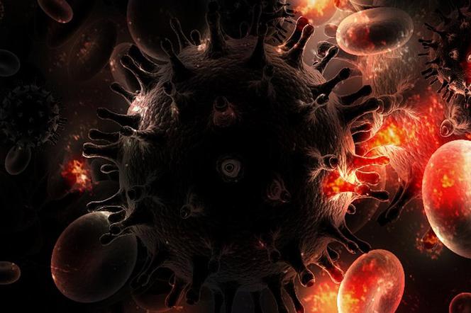 Jednocześnie ponad 200 tysięcy Polaków nie wie, że są nosicielami wirusa HCV, który wywołuje wirusowe zapalenie wątroby typu C. 