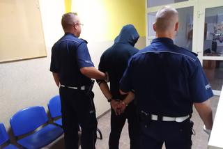 Ogromna plantacja marihuany w regionie! Policjanci zabezpieczyli ponad 430 krzewów [ZDJĘCIA]