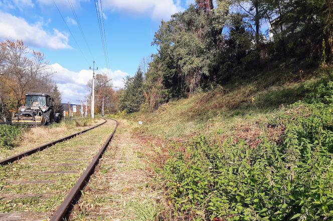 PKP PLK ogłosiła przetargi na przebudowę pierwszych kawałków linii Nowy Sącz - Chabówka