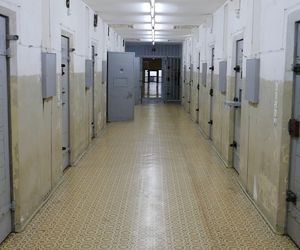 Kastracja chemiczna dla pedofilów. Znamy szczegóły