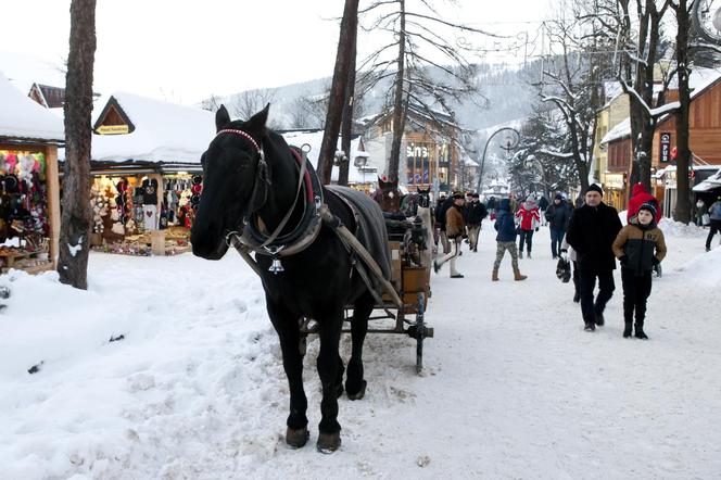 Zakopane zimą