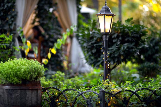 Lampy w ogrodzie