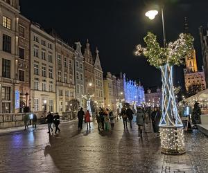 Gdańska choinka rozbłysła. Zobaczcie nasze zdjęcia!