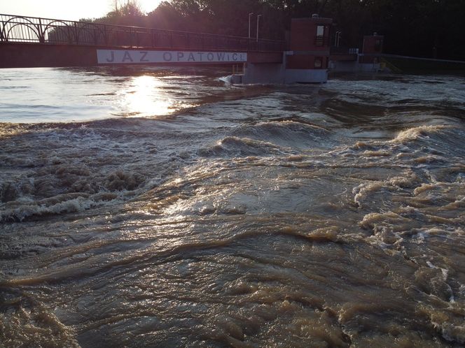 Powódź we Wrocławiu. Tak wygląda Odra w czwartek 19.09.2024 