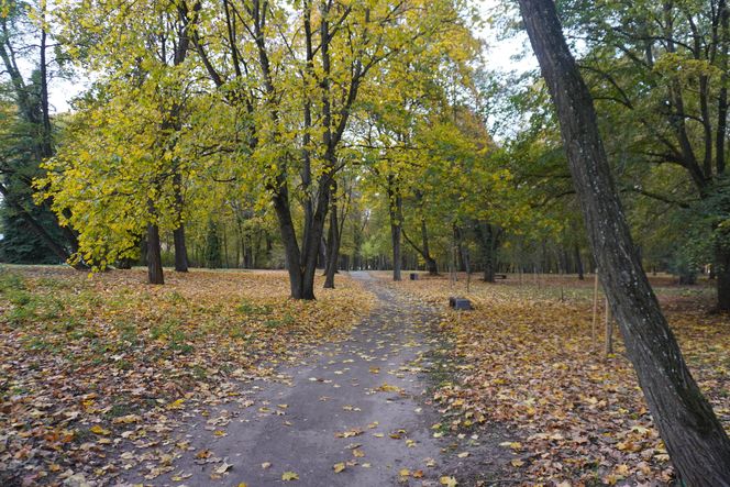 Park Lubomirskich w Białymstoku jesienią 