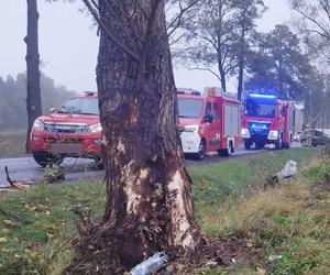 Śmiertelny wypadek pod Zgierzem! 34-latka leżała poza pojazdem 