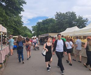 Smoczy Piknik Rodzinny 2025 w Krakowie