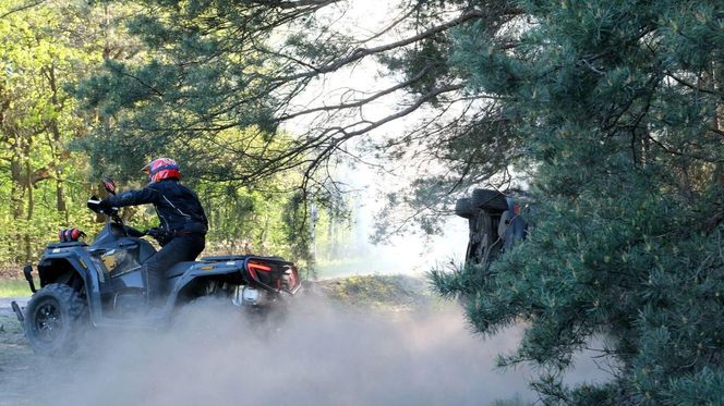 M jak miłość odc. 1875. Dominik Walat (Bartosz Surówka)