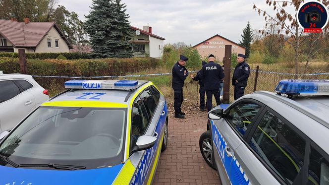 Zabójstwo w Kampinosie