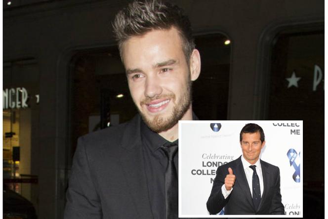 Liam Payne, Bear Grylls