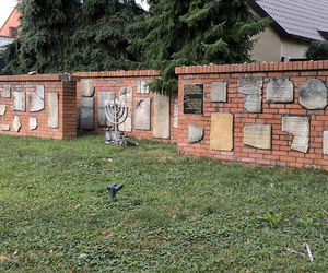 Lapidarium i stary cmentarz żydowski w Osiecznej