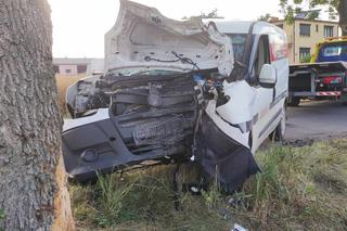 Jacek nagle zjechał z drogi i uderzył w drzewo. Policja bada przyczyny śmiertelnego wypadku w Bławatach