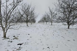 Na podkarpacie wróciła zima