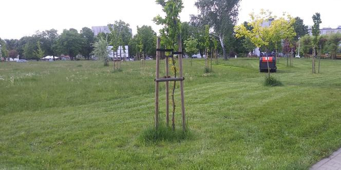 "Starachowiczanka" w akcji