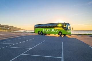 Flixbus z mocnym odbiciem pomimo pandemii. Wakacje z większą liczbą pasażerów