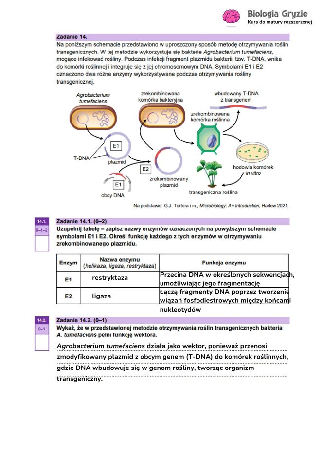 Matura 2025 - biologia