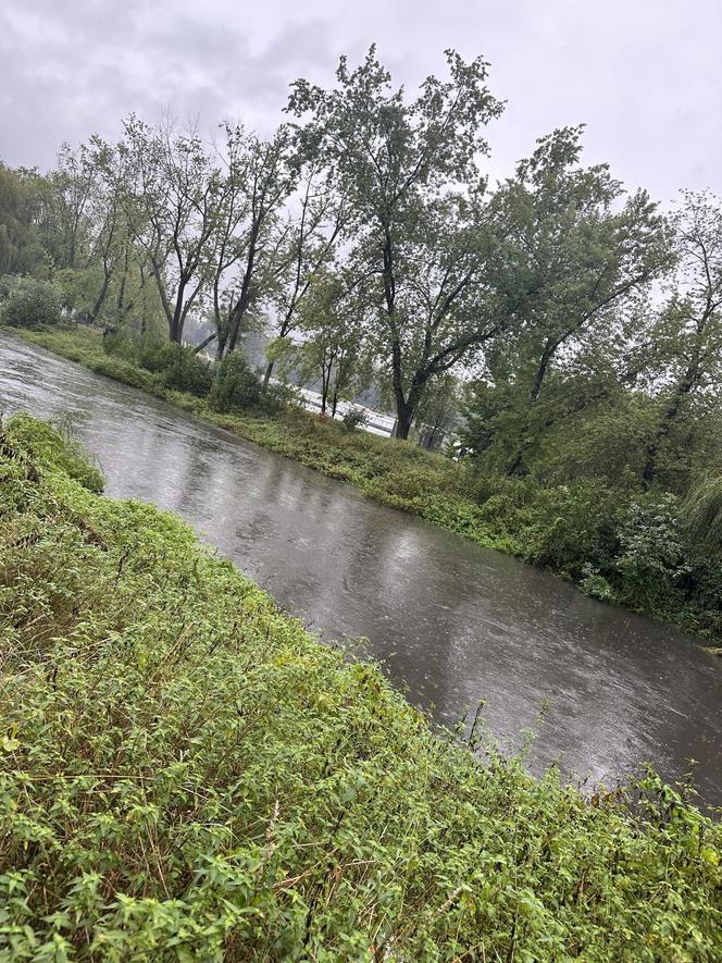 Brynica woj. śląskie - Sosnowiec, Stawiki