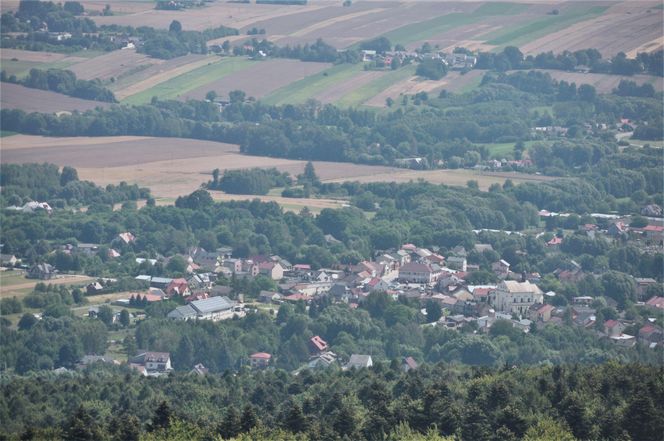 Nowa Słupia, Puszcza Jodłowa i Święty Krzyż
