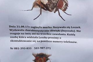 Ktokolwiek widział, ktokolwiek wie... Zaginęło zwierzę!