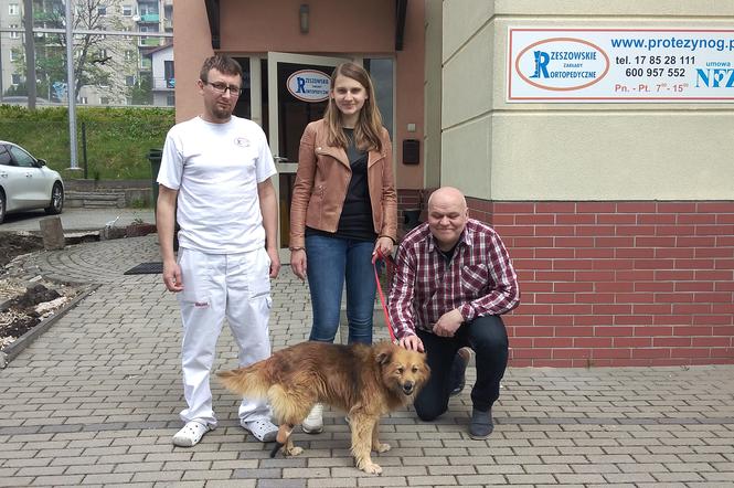 Pies Kajtek spod Rzeszowa otrzymał nowy dom i protezę łapki. To dar od RZO