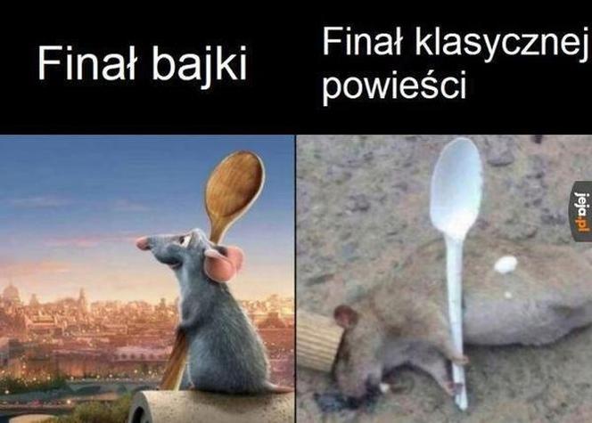 Szczury przejęły władzę nad Wrocławiem. Zobacz Najlepsze MEMY!