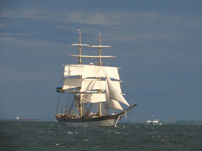 ParadaZagleGdyni2014_FotMZwierz_710248