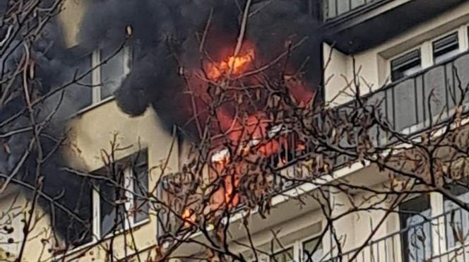 Mieszkanka Łodzi i jej narzeczony stracili wszystko w pożarze! "Ubezpieczenia prawdopodobnie nie będzie"