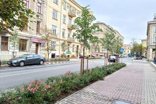 Jesienne nasadzenia w Lublinie. Na których ulicach będzie więcej zieleni?