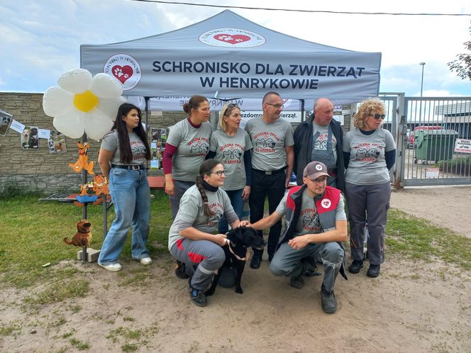 „Wszystkie psiaki nasze są” w schronisku w Henrykowie koło Leszna