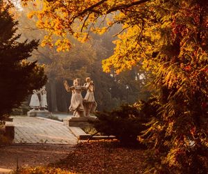 Park Śląski jesienią