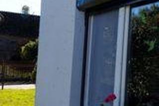 Inwazja biedronek azjatyckich we Wrocławiu! Wasze zdjęcia 