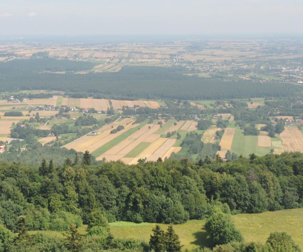 10 pomysłów na jesienną wycieczkę 30 kilometrów od Kielc. Zobacz!