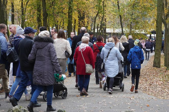 Tłumy na cmentarzu na Miłostowie