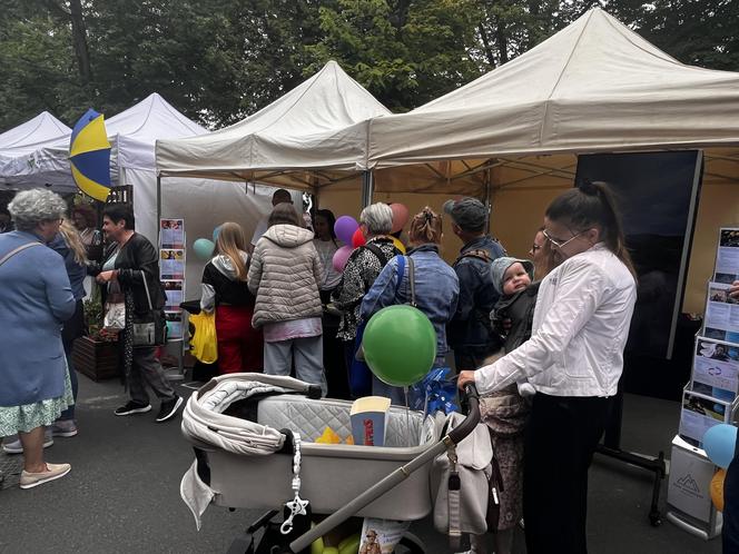 Piknik nad Odrą 2024 Szczecin 