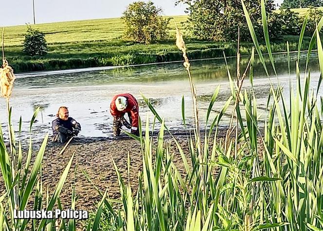 Lubuskie: Pod wodę wciągało go głębokie błoto. Pomoc nadeszła w ostatniej chwili