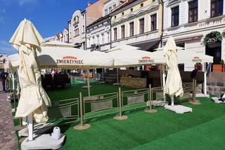 Trwa rozkładanie ogródków letnich w Rzeszowie. Które lokale rozłożą „parasole”?  