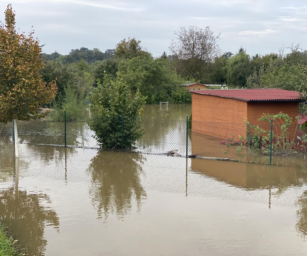 Fala powodziowa zbliża się do kolejnego lubuskiego miasta