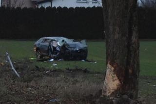 Uderzył w drzewo, dachował. Potem wysiadł i poszedł dalej. Alkomat oszalał!