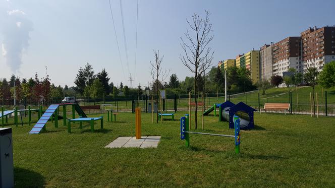 Park psiej aktywności w Sosnowcu