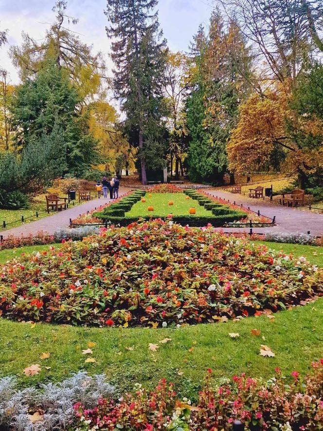 Gdańsk jesienią. Te widoki zapamiętacie na długo. Spójrzcie tylko na te zdjęcia!