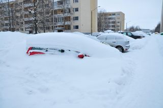 Ponad pół metra śniegu i mróz. Najsilniejszy atak zimy od początku sezonu