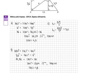 Matura próbna matematyka 2024 - odpowiedzi