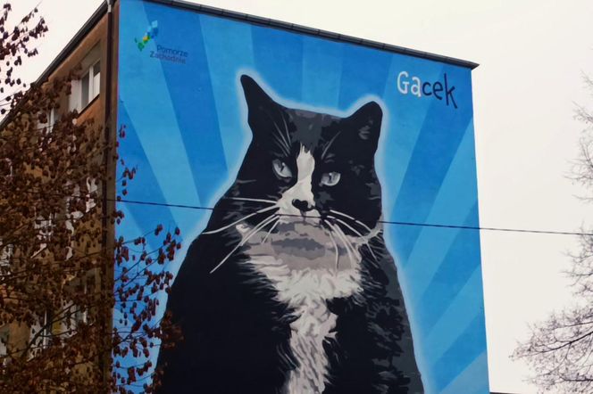 Mural z kotem Gackiem już odsłonięty