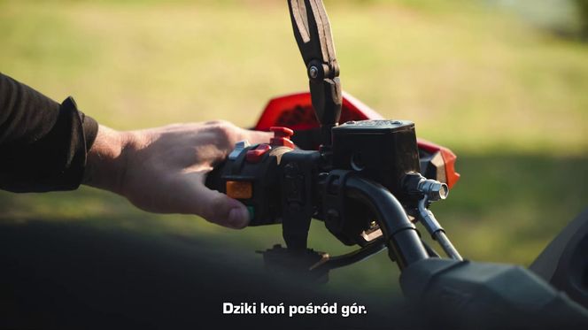 Roberto Soldić pokazał swojego "potwora"