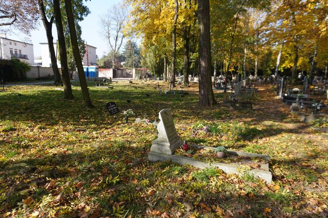 Cmentarz Jeżycki na poznańskich Ogrodach